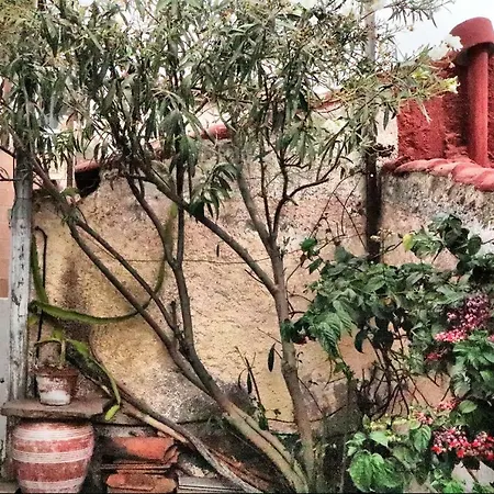 Casa Las Vistas 펜션 Arafo