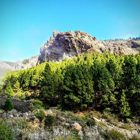 Casa Las Vistas 펜션 Arafo